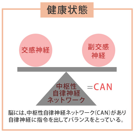 中枢性自律神経ネットワーク