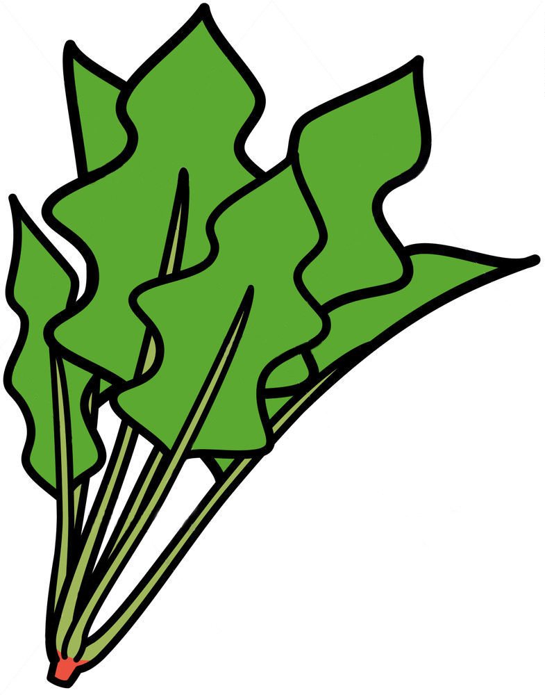 鉄分の多いレバーやホウレンソウ