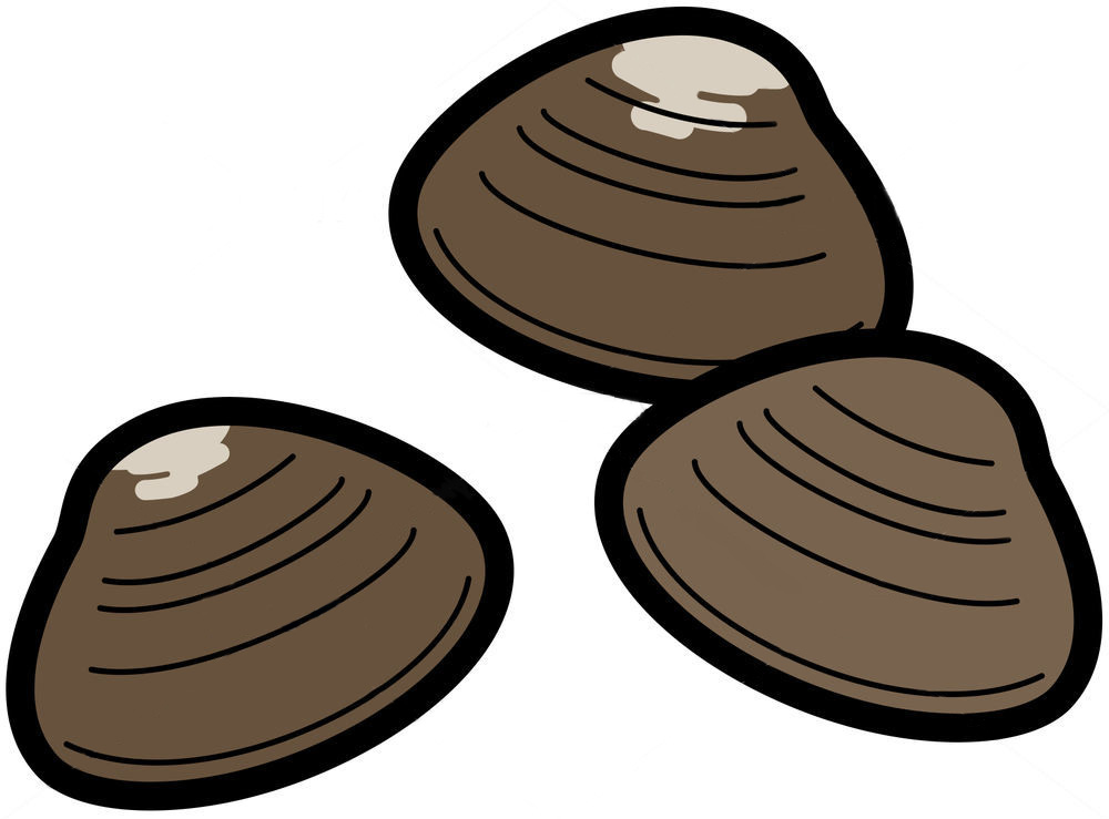 ビタミンB12は末梢神経の代謝を促す