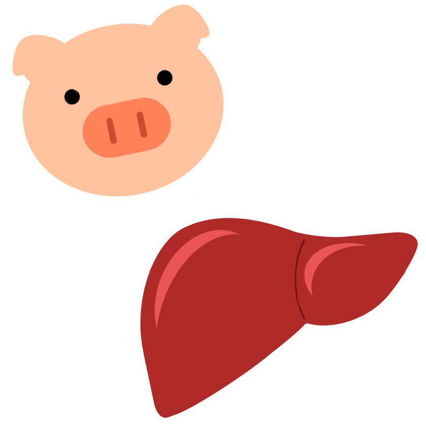 �S���s��������