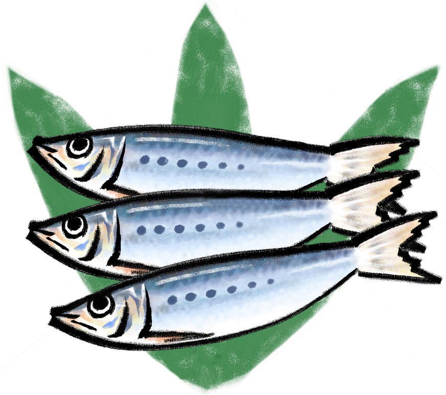 �߂܂��⎨��Ɍ����̂̓r�^�~��B�Q<